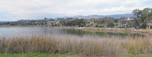 Andree Clark Bird Refuge